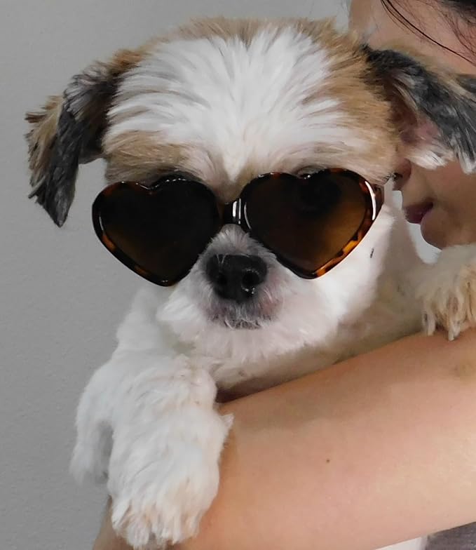 G016 Dog Cat Pet Puppy Heart Sunglasses Glasses for Small Breed up to 15lbs (2-Pack Heart Red + Heart Trotoise Brown)