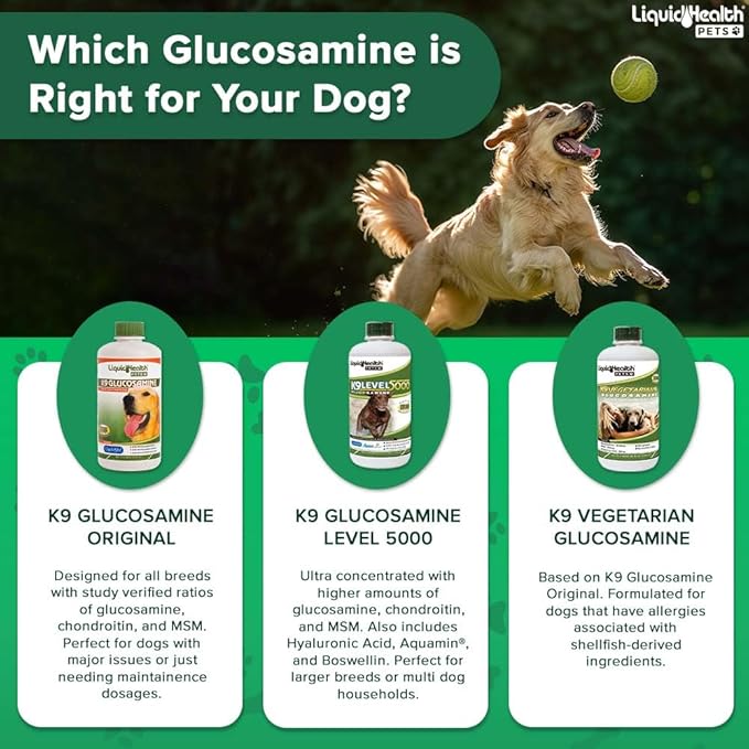 LIQUIDHEALTH 128 Oz K9 Liquid Glucosamine for Dogs, Puppies and Seniors - Chondroitin, MSM, Hyaluronic Acid – Dog Hip and Joint Health, Dog Vitamins for Dog Joint Pain, Dog Joint Oil - 1 Gallon
