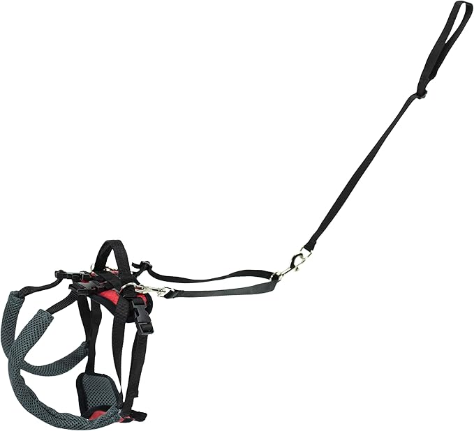 PetSafe CareLift Rear Support Harness - Senior & Disabled Dog Rear Mobility Support - Easy-Fitting, Breathable Belly Straps with Lifting Aid Handle - For Small Dogs 7-35 lb