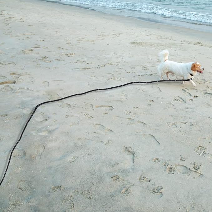 Vivifying Long Dog Leash, 32ft Reflective Dog Training Leash for Outside and Yard, Floating Long Line Lead with Soft Handle for Camping, Hiking, Swimming and Beach (Black)