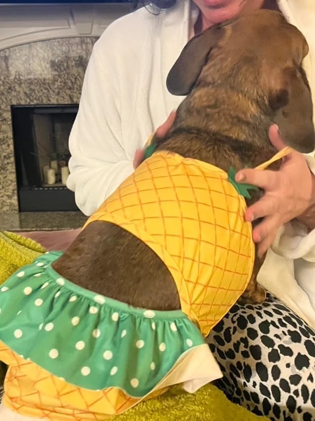 Funny Dog Swimwear Bikini Summer Dog Clothes Beach Swimsuit Puppy Bathing Suit Puppy Vest Cooling Pet Shirt for Small Dogs, Cat Apparel (X-Large, Yellow Pineapple)
