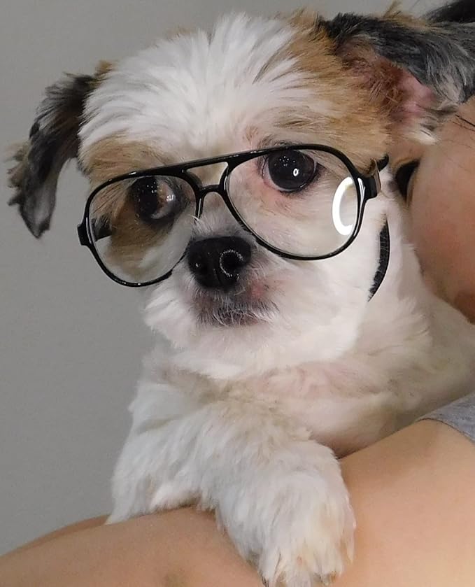 G015 Dog Cat Pet Costume Glasses for Small Breeds up to 15lbs (Aviator Black-Clear Lens)