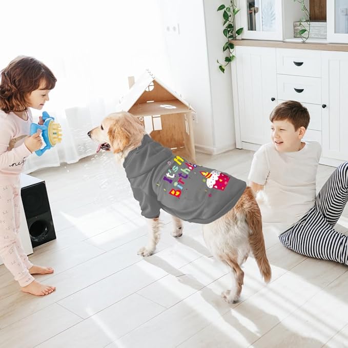 GreenJoy Dog Sweater Dog Hoodie Cold Weather Coat Hooded Sweatshirt for Puppies,Cats, Small Medium Large Dogs (Grey(It's My Birthday), X-Large)