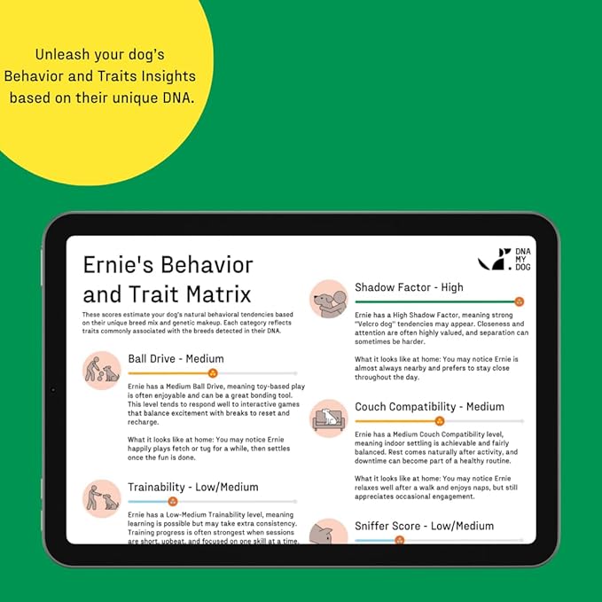 DNA MY DOG – Trusted & Affordable Breed Identification Test | 350+ Breeds Identified w/ 99%+ Accuracy | Complete Breed Analysis, Personality and Behavior Insights | Easy Cheek Swab, Results in 2 Weeks