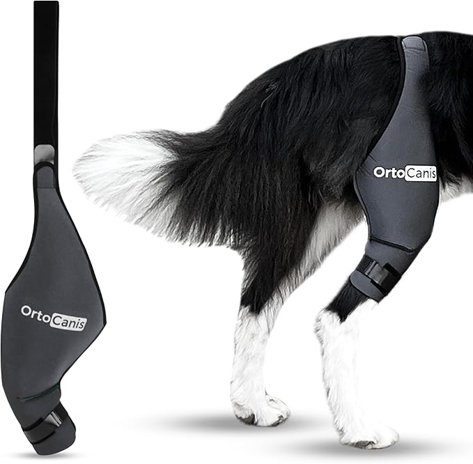 Ortocanis Dog Knee Brace for Hind Leg Support – Flexible Neoprene Knee Brace for Dogs with Joint Instability, Torn ACL, Limping or Osteoarthritis – Comfortable Support for Recovery (X-Mini, Right Leg)