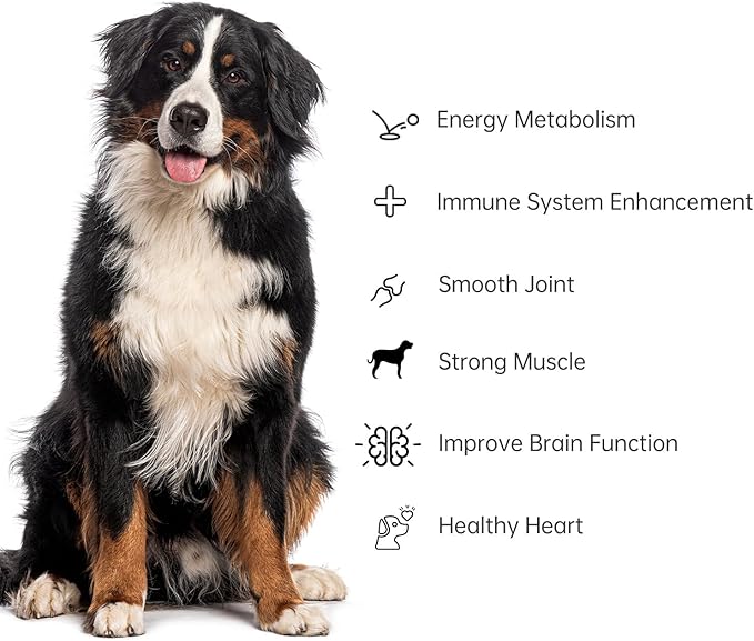 Celfull NAD+ Supplement for Dogs&Cats-Cellular Health & Vitality Support-Promotes Energy,Healthy Aging