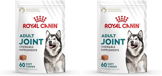 Royal Canin Joint Dog Supplement Soft Chews for Adult Dogs, 60 Count (Pack of 2)