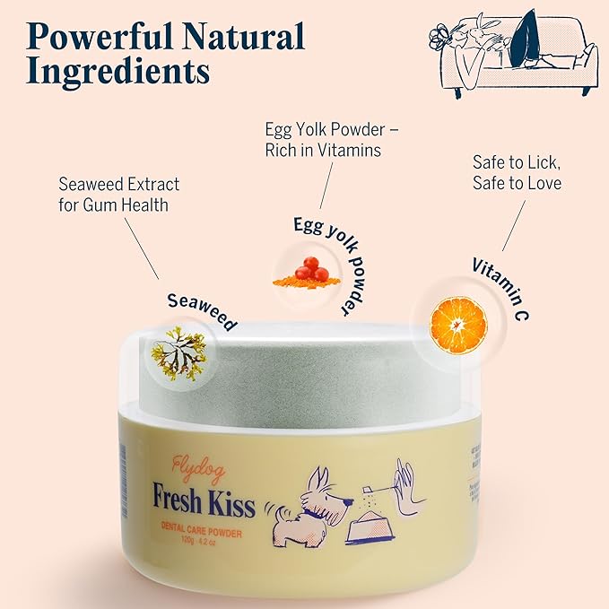 Flydog Fresh Kiss Dog Dental Powder with Finger Brush - Probiotic Breath Freshener for Dogs, Helps Reduce Plaque & Tartar, Beef Flavor, All Natural