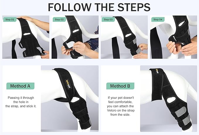 Dog Knee Brace for Torn ACL Hind Leg, Dog Braces for Back Leg for Dogs Luxating Patella, Metal Spring Strong Support and Flexible Joint Care, Stay-on Dog Leg Braces for Rear Leg (XXL)
