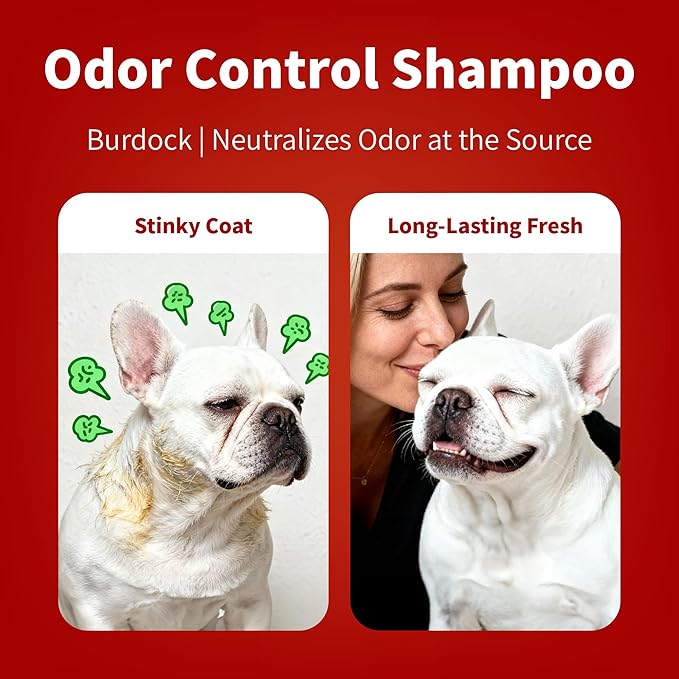 Arf Arf Odor Control Dog Shampoo with Burdock & Oatmeal - German Formula Sebum Regulator for Smelly Bulldogs & Seniors - Long-Lasting Deodorizer for Oily Coats & Itchy Skin - Fresh Scent, 16oz