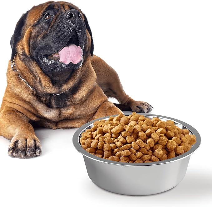 Stainless Steel Dog Bowls with Mat - Nonslip EVA Rubber Bottom Ring - Food & Water Bowl for Dogs, Cats - Dishwasher Safe
