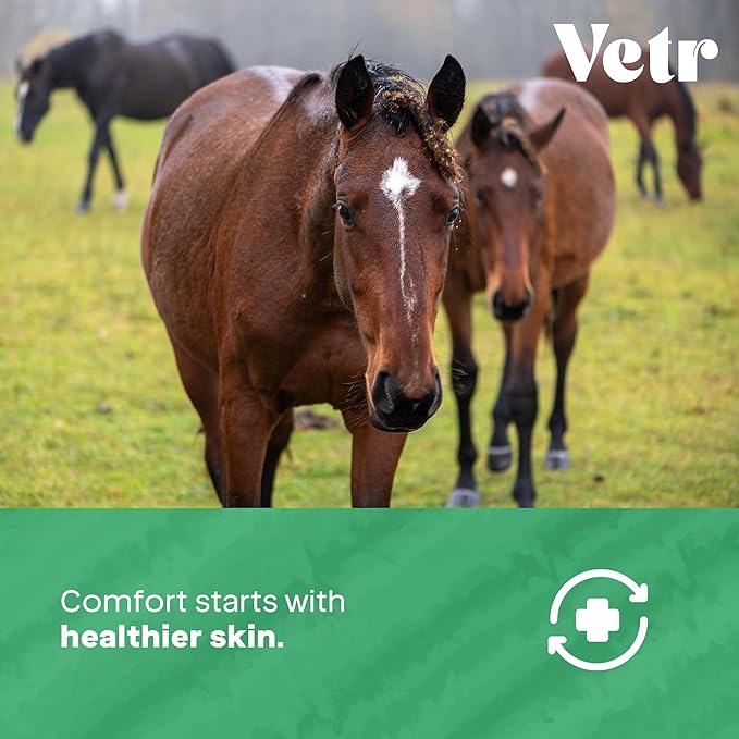 vetr Skin Relief Hydrocortisone Gel for Dogs - Topical Support for Itchy Skin and Hot Spots - 4 oz (120mL) - Vet-Formulated in USA