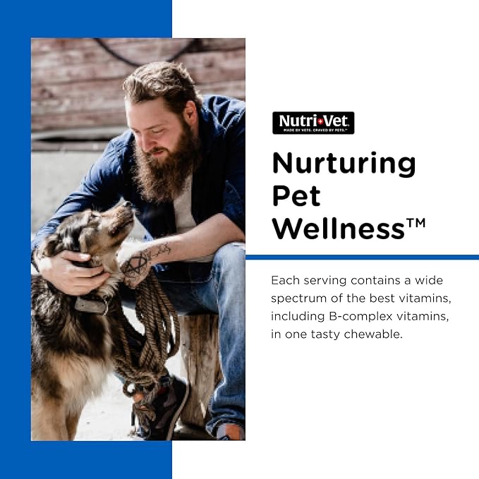 Nutri-Vet Multi-Vite Chewables for Adult Dogs, Daily Dog Vitamins & Minerals, Supports Balanced Diet, Pet Multivitamin, Supports Joint, Immune, and Cardiovascular Health in Canines, 60 Count