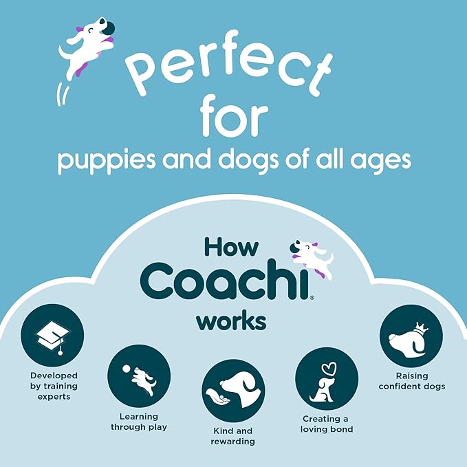 Coachi Chase & Treat - A Fun Enrichment Dog Toy, Fill with Treats for Interactive Play. Good for Motivating, Distance Reward Training & Encouraging Retrieval. Ideal for Agility & Suitable for Puppies