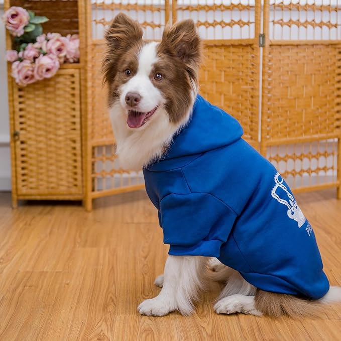 EXPAWLORER Prince Dog Hoodie for Boy - Hooded Doggie Sweater with Leash Hole, Cold Weather Clothes,Sweatshirt with Pocket, Pet Warm Outfit, Winter Coats for XS-XXL Dogs
