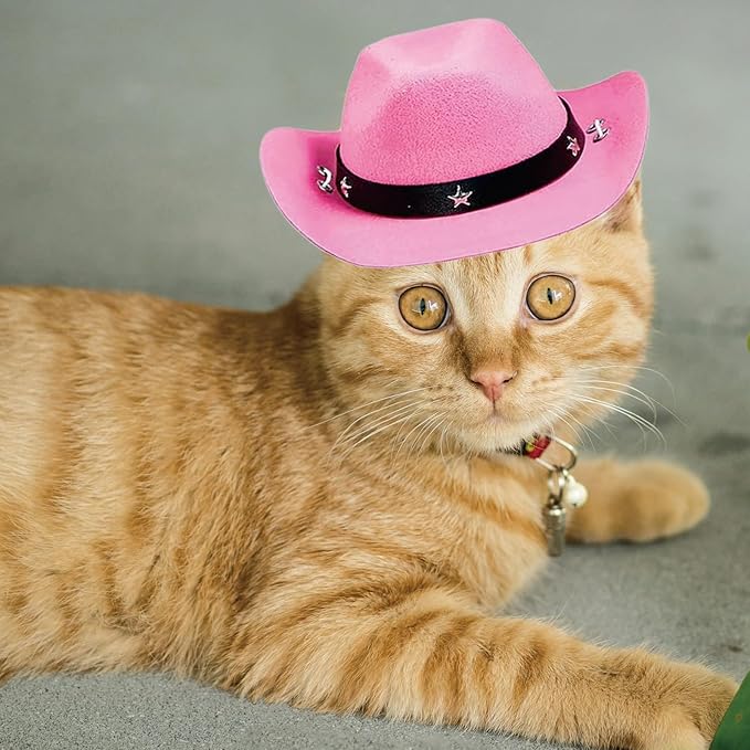 Pet Dog Costume Cowboy Hat Cosplay Cap Puppy Pet Dog Cat Holiday Pet Party Decoration (Pink)
