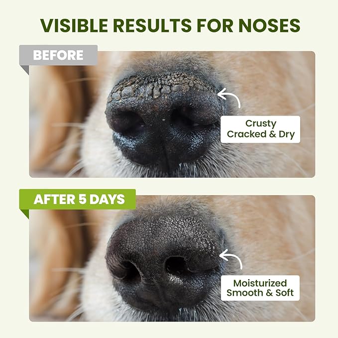 Lick-Safe Dog Paw & Nose Balm with Coconut Oil | Winter Snow, Road Salt & Cold Pavement Protector | All-Natural Moisturizer & Soother for Dry, Cracked Pads & Snout | Horse Hoof, Joint Care(1.3 oz)