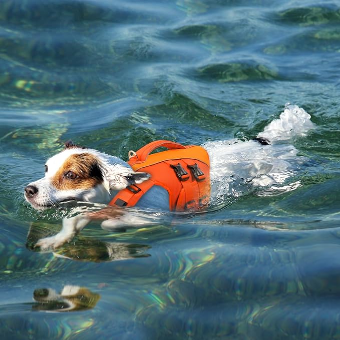 Queenmore Small Dog Life Jacket,Pet Life Vest for Swimming,Adjustable Reflective Pet Swimming Vest,High Buoyancy Dog Life Jacket,Pet Life Preserver(Orange,S)