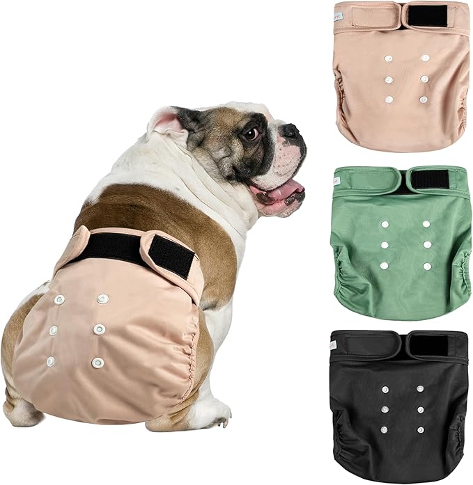 Langsprit Frenchie Female Dog Diapers No Tail Hole,Reusable Puppy French Bulldog Diapers Female for Period Heat,Washable Doggy Doggie Diapers for Female Dogs Small Medium Large Size（Medium）