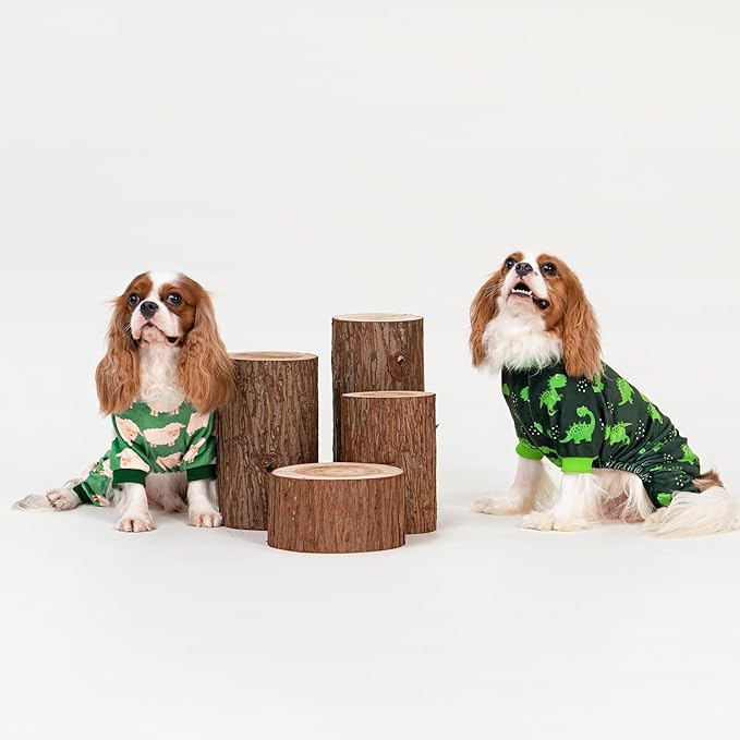 Fitwarm Funny Sheep Dog Pajamas, Warm Winter Dog Clothes for Small Dogs Boy Girl, Cozy Pet Onesie with Feet, Green, White, Small