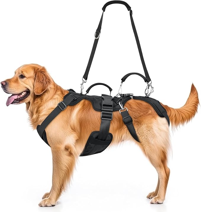 Dog Lift Harness, Full Body Support & Recovery Sling with Rear Leg Strap – Pee-Able Design for Large/Medium Dogs, Mobility Aid Harness for Senior, Injured, Disabled, Arthritic & Post-Surgery Pets (XL)