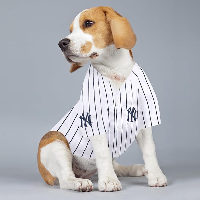 Pets First MLBPA Anthony Volpe Jersey #11 Pet Jersey- MLB New York Yankees Mesh Players Dog Shirt, Size Medium