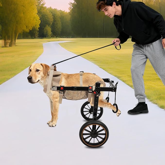Pet Rehabilitation Walking Aid for Large Dogs, Adjustable 2-Wheel Dog Wheelchair for Back Legs with Breathable Mesh Harness for Senior Disabled Dogs Recovery Support