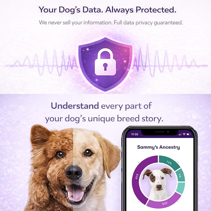 ORIVET Dog DNA Test Kit – Comprehensive Dog DNA Test Kit for Over 330+ Breed Identification | At Home Dog DNA Kit with Canine Genetic Testing & Life Plan Genopet