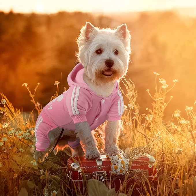 Dog Hoodie Security Clothes 4 Legs Jumpsuit Sweatshirt Hoodies Soft & Warm Dog Outfit Pullover Dog Winter Clothes Sweater for Small Medium Large Dogs Cats (Pink, XX-Small)