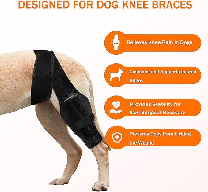 Dog Knee Support for Cruciate Injury – Breathable Neoprene, Flexible Stabilizer with Adjustable Straps, 4-Leg Universal Fit (Front/Hind, Left/Right), Ideal for Post-Op Healing (L)