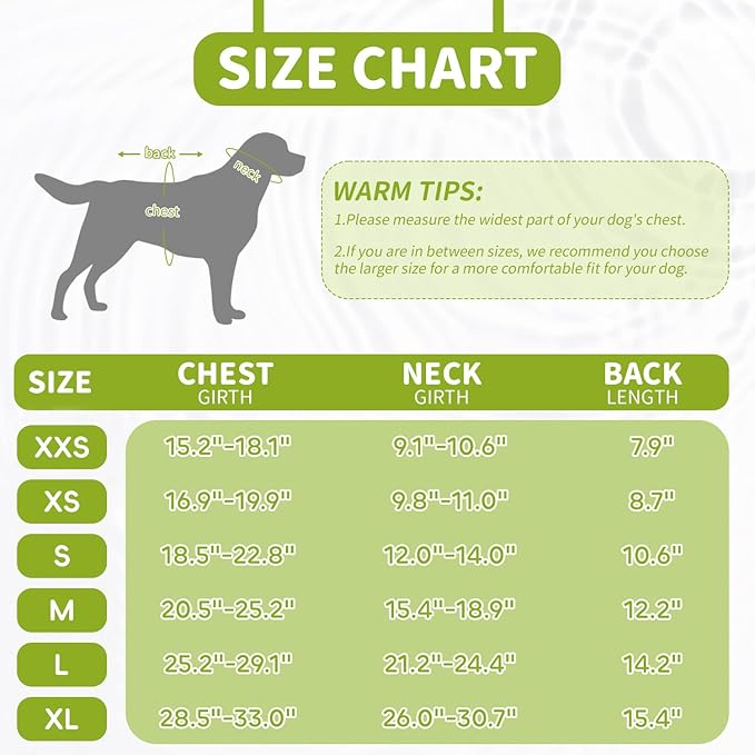 Dog Swimming Vest with D-Ring, Lightweight Dog Life Vests for Boating, Reflective Pet Lifejackets Swimsuit Neoprene Dogs Life Jacket with Rescue Handle for Small Medium Dogs (Green, S)