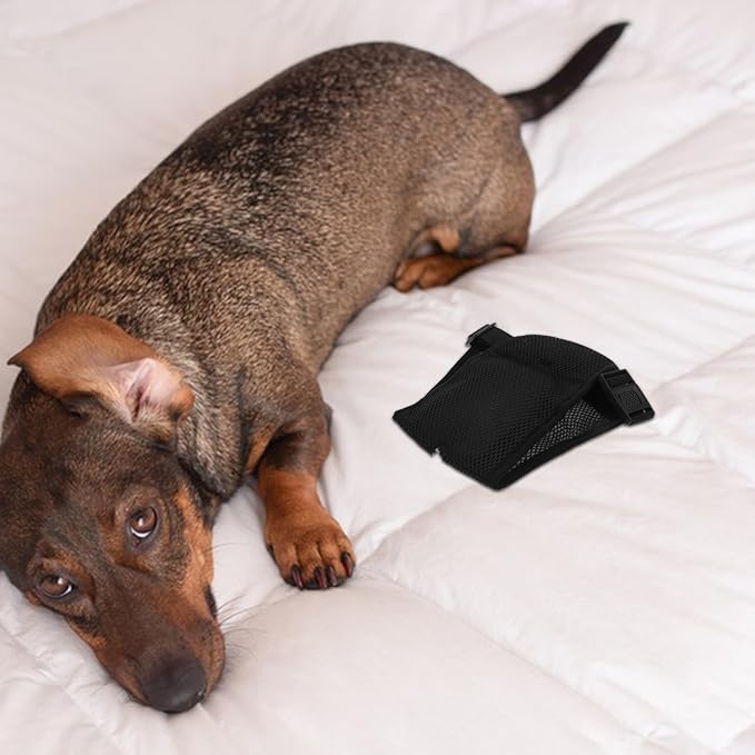 2pcs Female Dog Diapers Washable Breathable Sanitary Pants for Period Menstrual Protection Dog Nappies L Size 40-49cm Black and Navy for Pet Hygiene