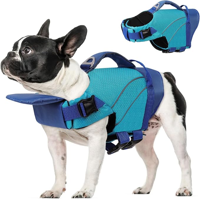 Queenmore Small Dog Life Jacket with Reflective Stripes, Adjustable Life Jacket for Small Dogs, Puppy Swimming Vest High Flotation, Puppy Life Jacket with Front Neck Float (Blue,S)