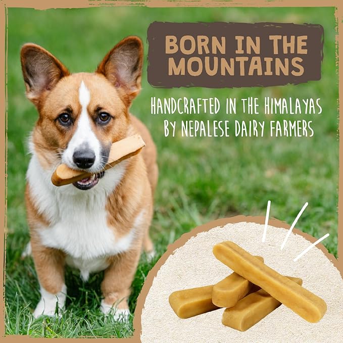 Mighty Paw Yak Cheese Dog Chews – All-Natural Long Lasting Hard Chew for Aggressive Chewers – High Protein, Odor-Free Dog Treat – 3 Ingredient Natural Yak Chews for Large Dogs – (4 Pack)