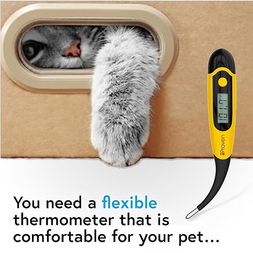 iProven Pet Thermometer (Termometro) for Accurate Fever Detection, Suitable for Cats/Dogs, Waterproof Pet Thermometer, Fast and Accurate Measurements in 20 Seconds - DT-K117 (5 Packs)