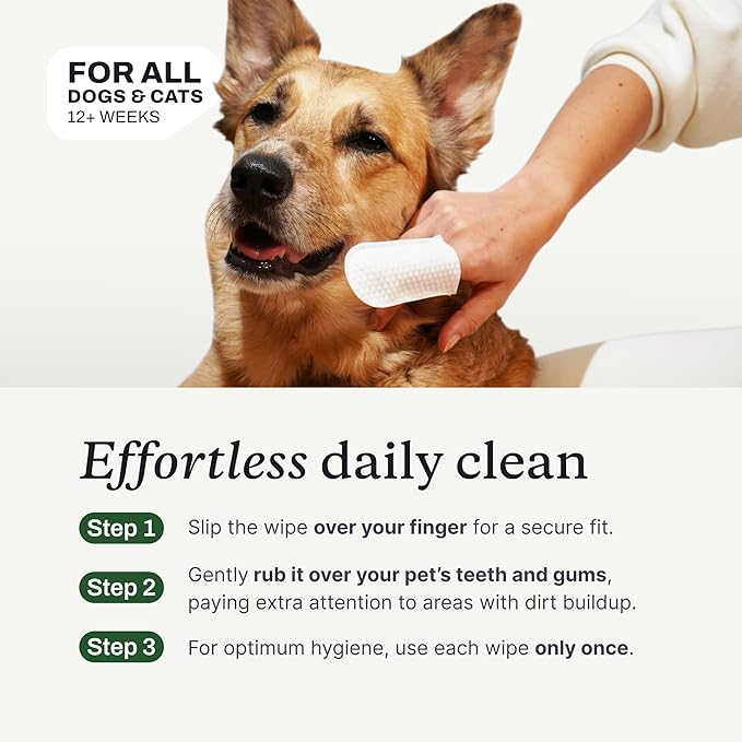 PetLab Co. - Tooth & Gum Support Bundle for Small Dogs: Dental Wipes for Everyday Dental Health Support & Dental Powder for an Effortless Clean in 1 Scoop – Easy to use – Premium Quality Ingredients