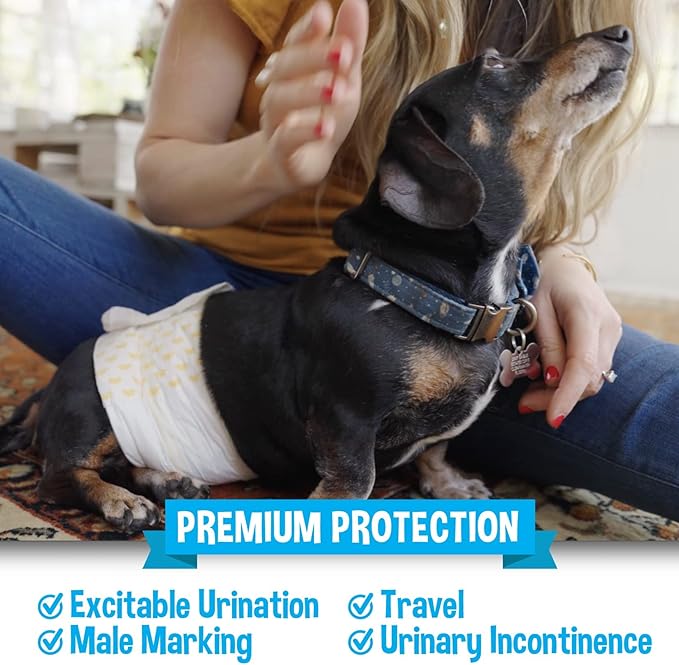 Bodhi Dog Disposable Male Dog Diapers - Super Absorbent, Leak-Proof Pee Wraps - Adjustable Fit, Comfortable Design, Advanced Moisture Control, and Wetness Indicator - Large (20 Count)