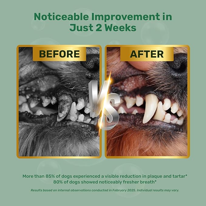 Dog Dental Powder - Plaque Off Powder - Dog Teeth Natural Cleaning Powder - Dogs Breath Freshener - Enzymes & Probiotic with Tartar and Plaque Off - Pets Tooth Cleaning- 150g/5.3 oz