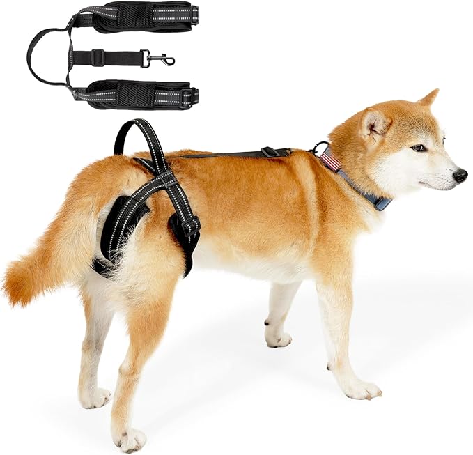 ROZKITCH Pet Dog Support Harness Rear Lifting Harness for Back Legs Reflective Dog Sling Vet Approved for Old Helps with Poor Stability Hind Legs, Joint Injuries Elderly Arthritis ACL Rehab Black M