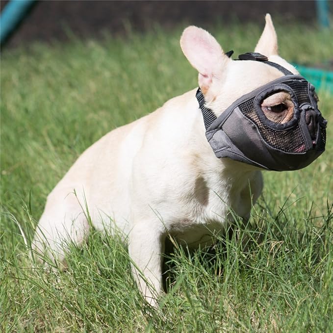 Short Snout Dog Muzzle- Adjustable Breathable Mesh Bulldog Muzzle for Biting Chewing Licking Grooming Dog Mask,Grey(Eyehole) XL