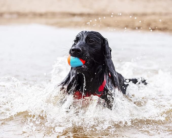 ChuckIt! Amphibious Fetch Balls, Set of 3, Medium