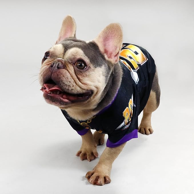 Snoop Doggie Doggs Deluxe Pet Jersey, Off The Chain, Medium