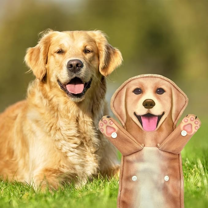 Golden Retriever Funny Hand Towels for Bathroom Kitchen Decor Dog Towel Decorative Hanging Washcloths Face Towels Super Absorbent Soft Housewarming Funny Gifts Dog Lovers for Women