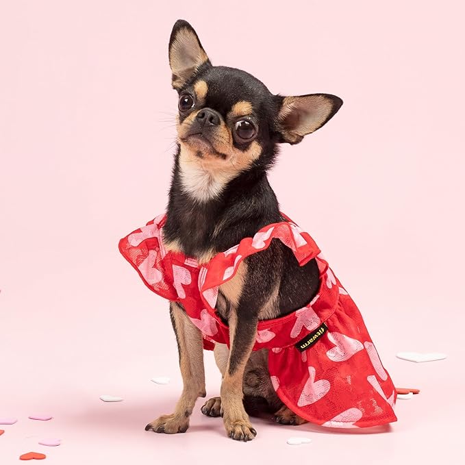 Fitwarm Valentines Day Sweet Heart Dog Dress, Dog Holiday Outfit, Dog Clothes for Small Dogs Girl, Pet Cat Apparel, Red, Pink, Large