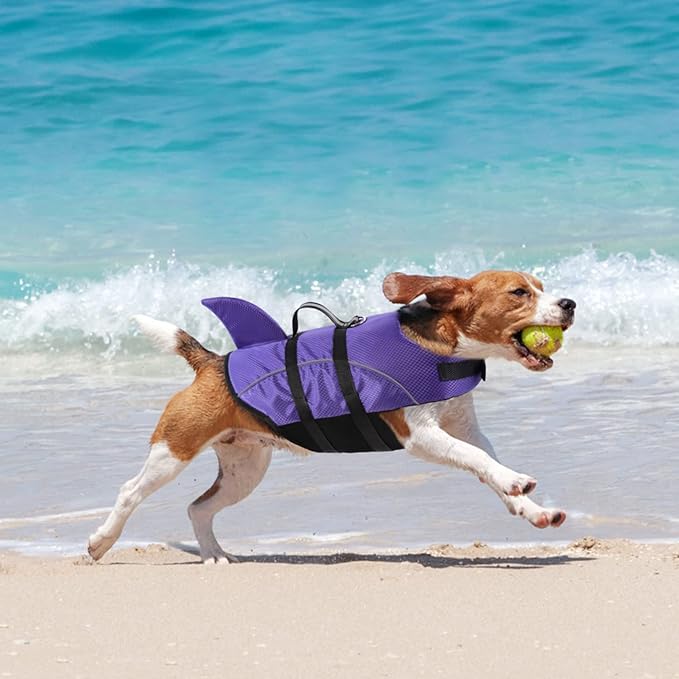 Queenmore Small Dog Shark Life Jacket,Dog Life Vest for Swimming Boating Kayaking,High Buoyancy Puppy Dog Life Preserver,Reflective Light Dog Lifesaver with Strong Rescue Handle (Purple,M)