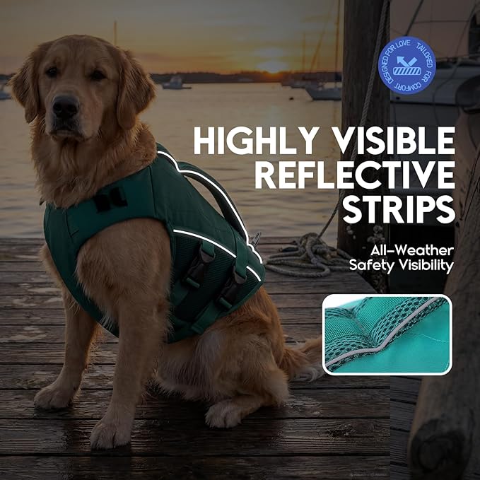 ASENKU Dog Life Jacket, High Floatation Dog Swimming Vest with Rescue Handles for Small Medium Large Dogs, Pet Safety Swimsuit Preserver for Pool Beach Boating (LakeGreen, XS)