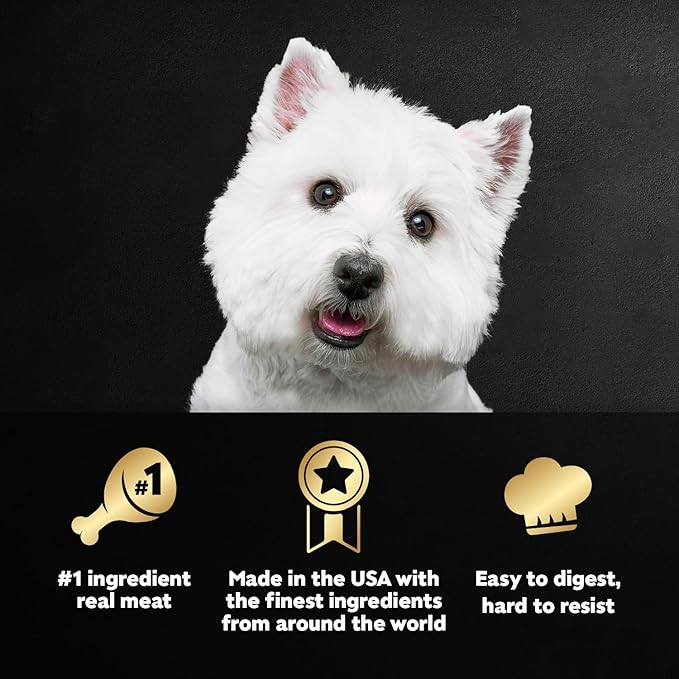 CESAR Adult Wet Dog Food Classic Loaf in Sauce Breakfast and Dinner Mealtime Variety Pack, 3.5 oz. Easy Peel Trays, Pack of 12