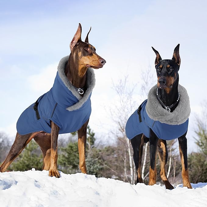 Dog Coat, Waterproof Dog Winter Jacket with Adjustable Buckle, Reflective Turtleneck Pet Snow Vest Warm Fleece Sweater for Small Medium Large Dogs - Blue, S
