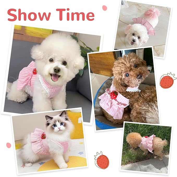Cute Strawberry Small Dog Dress with D-Ring Princess Lace Girl Female Dog Clothes Spring Summer Breathable Mesh Pet Puppy Cats Harness Dress for Shih Tzu Yorkies Chihuahua Maltese(Pink,Large)