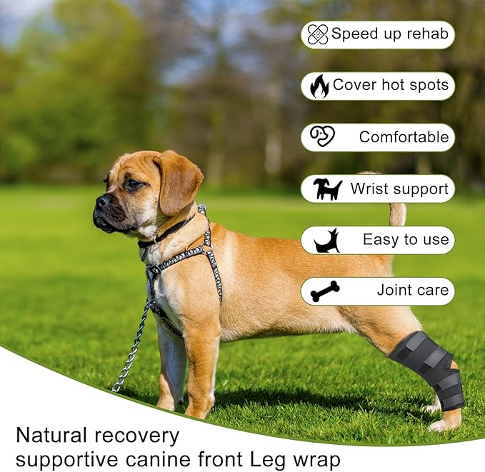Dog Leg Braces for Rear Leg, Adjustable Dog Leg Sleeve Added Mobility Safety for Active Aging Dogs, Knee Support Straps for Outdoor Adventures Daliy Use Enhanced Stability (L)
